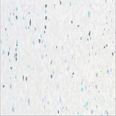 Armstrong Armstrong Commercial Tile - Companion Square Polychrome White (Sample) Vinyl Flooring
